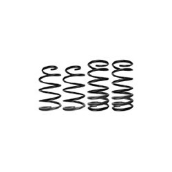 Lowering kit progressive 30 mm
