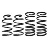 Lowering kit progressive 30 mm