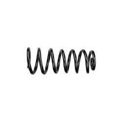 Suspension spring Rear axle load spring