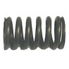 Valve spring