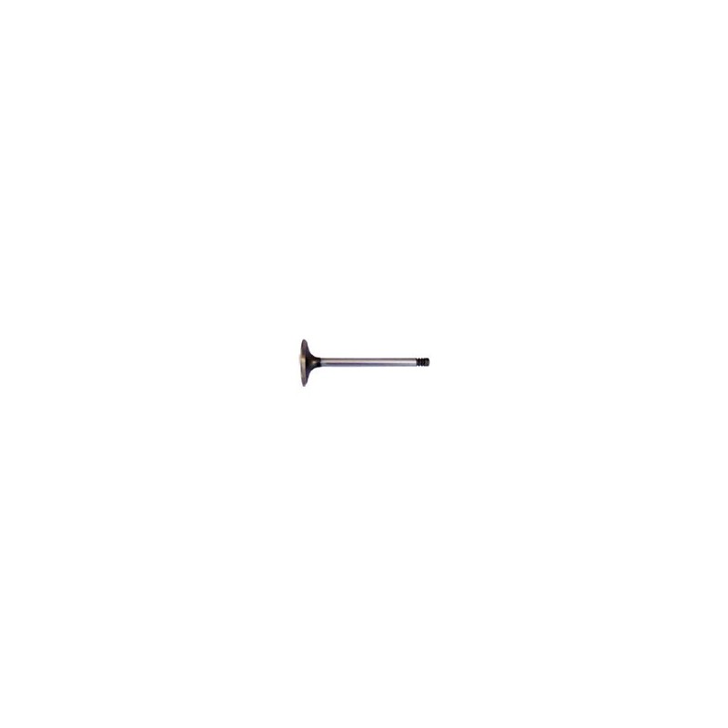Exhaust valve