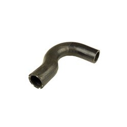 Radiator hose lower