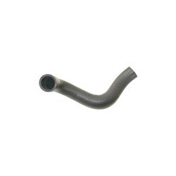 Radiator hose lower Engine cooler - Water pump