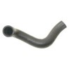 Radiator hose lower Engine cooler - Water pump
