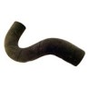 Radiator hose lower