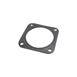 Gasket, Throttle housing