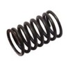 Valve spring outer