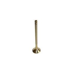 Exhaust valve