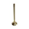 Exhaust valve