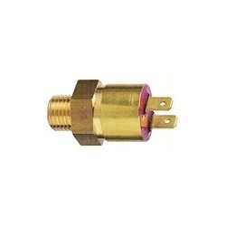 Temperature switch, Radiator fan