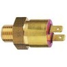 Temperature switch, Radiator fan