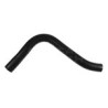 Radiator hose Engine cooler - Cylinder head