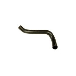 Radiator hose lower Engine cooler - Water pump