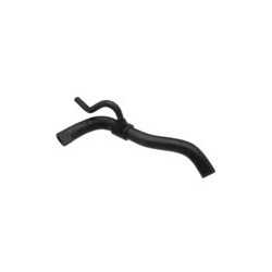 Radiator hose lower Engine cooler - Water pump
