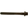 Cilinderkopbout M12 x 114,5 mm