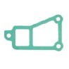 Gasket, thermostat housing