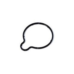 Vacuümpomppakking  D5244T-