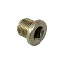 Bleeder Screw, axle drive