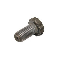 Flywheel bolt