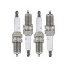 Spark plug Kit