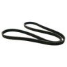 V-ribbed belts PK 1795 mm 6 Ribs
