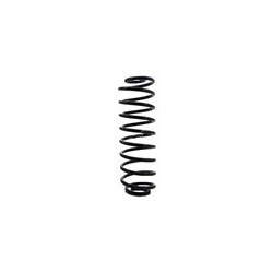 Suspension spring Rear axle