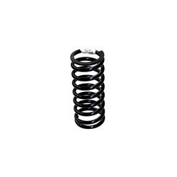 Suspension spring Front axle