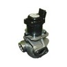 EGR klep D4164T