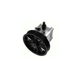 Hydraulic pump, Steering system