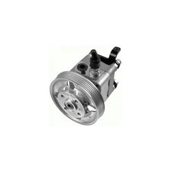 Hydraulic pump, Steering system