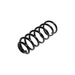 Suspension spring Rear axle