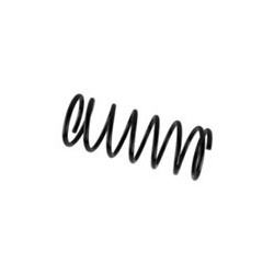 Suspension spring Rear axle