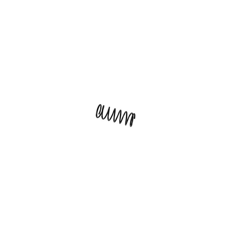 Suspension spring Rear axle