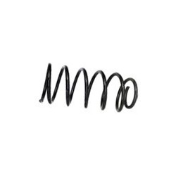 Suspension spring Front axle