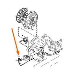 Dust cap, Bleeder screw