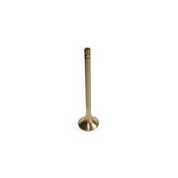 Exhaust valve