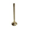 Exhaust valve