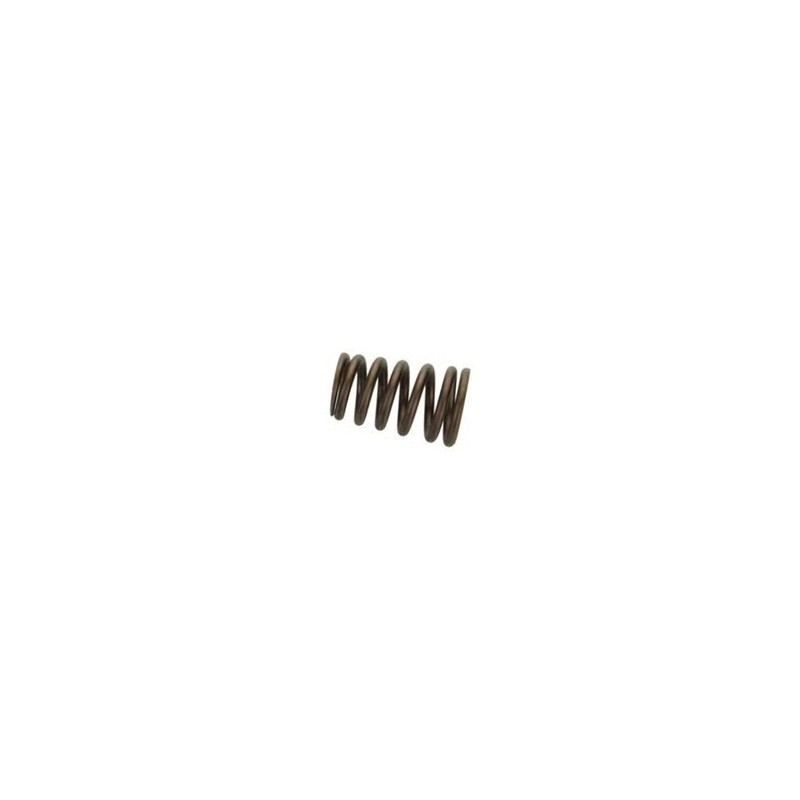 Valve spring