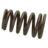 Valve spring