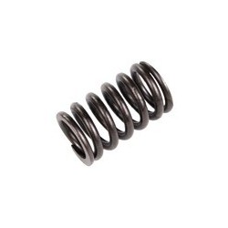 Valve spring D4192T2, D4192T3, D4192T4