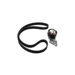 Distributieriemset B4164S3