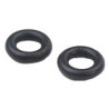 Seal ring, Injector Kit for one Injector