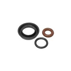 Seal ring, Injector Kit 5 cylinder 4-valve petrol engines