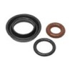 Seal ring, Injector Kit 5 cylinder 4-valve petrol engines
