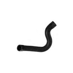 Radiator hose upper