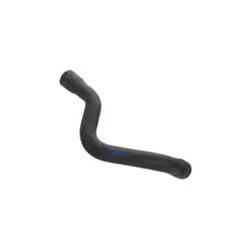 Radiator hose upper