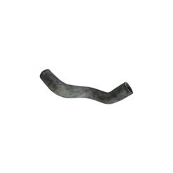 Radiator hose lower B19-, B200-