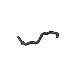 Radiator hose lower petrol engines from '01