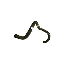 Radiator hose lower petrol engines '00
