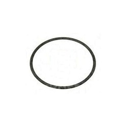 Seal, Locking cylinder for Tailgate